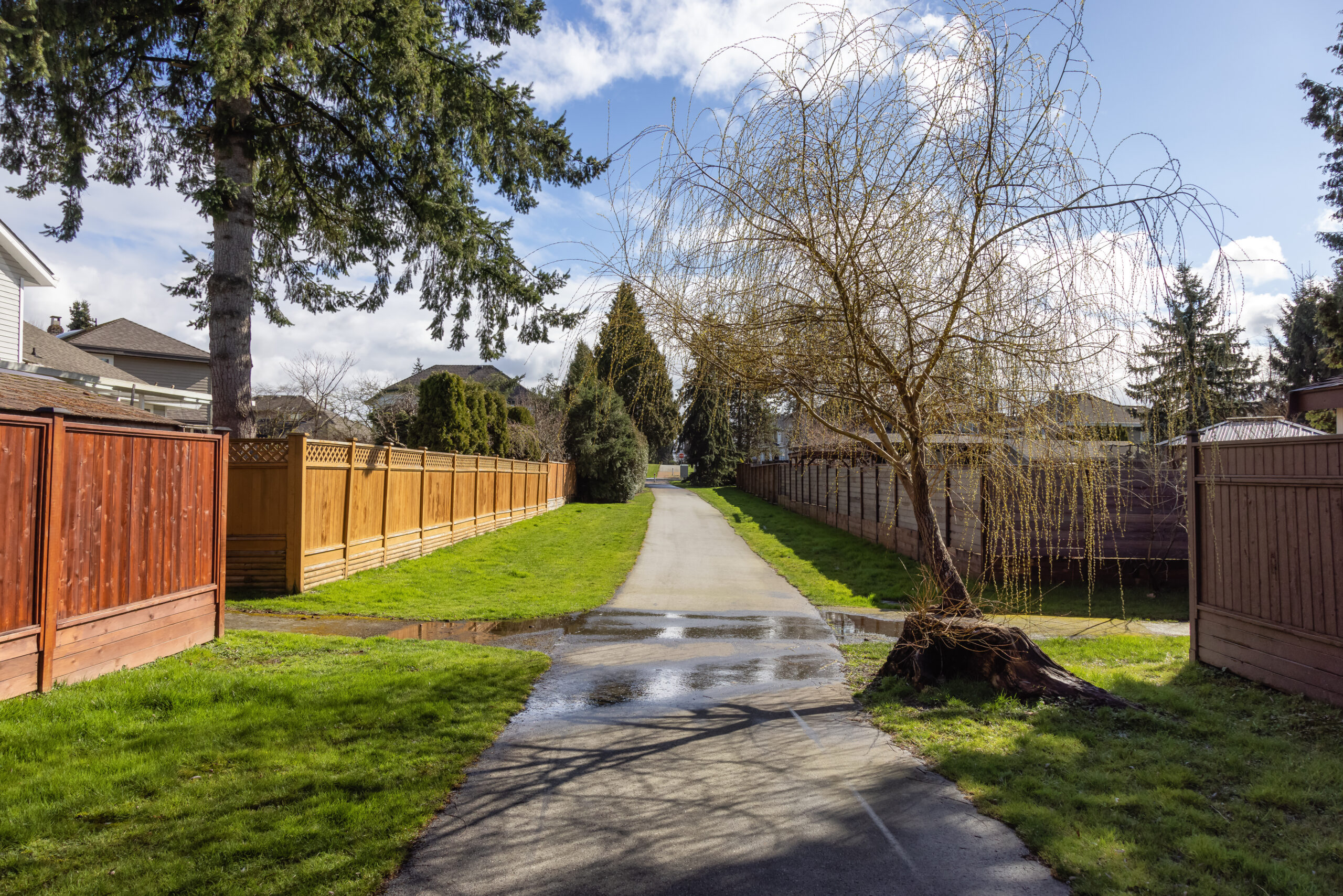 Sidewalk & Driveway