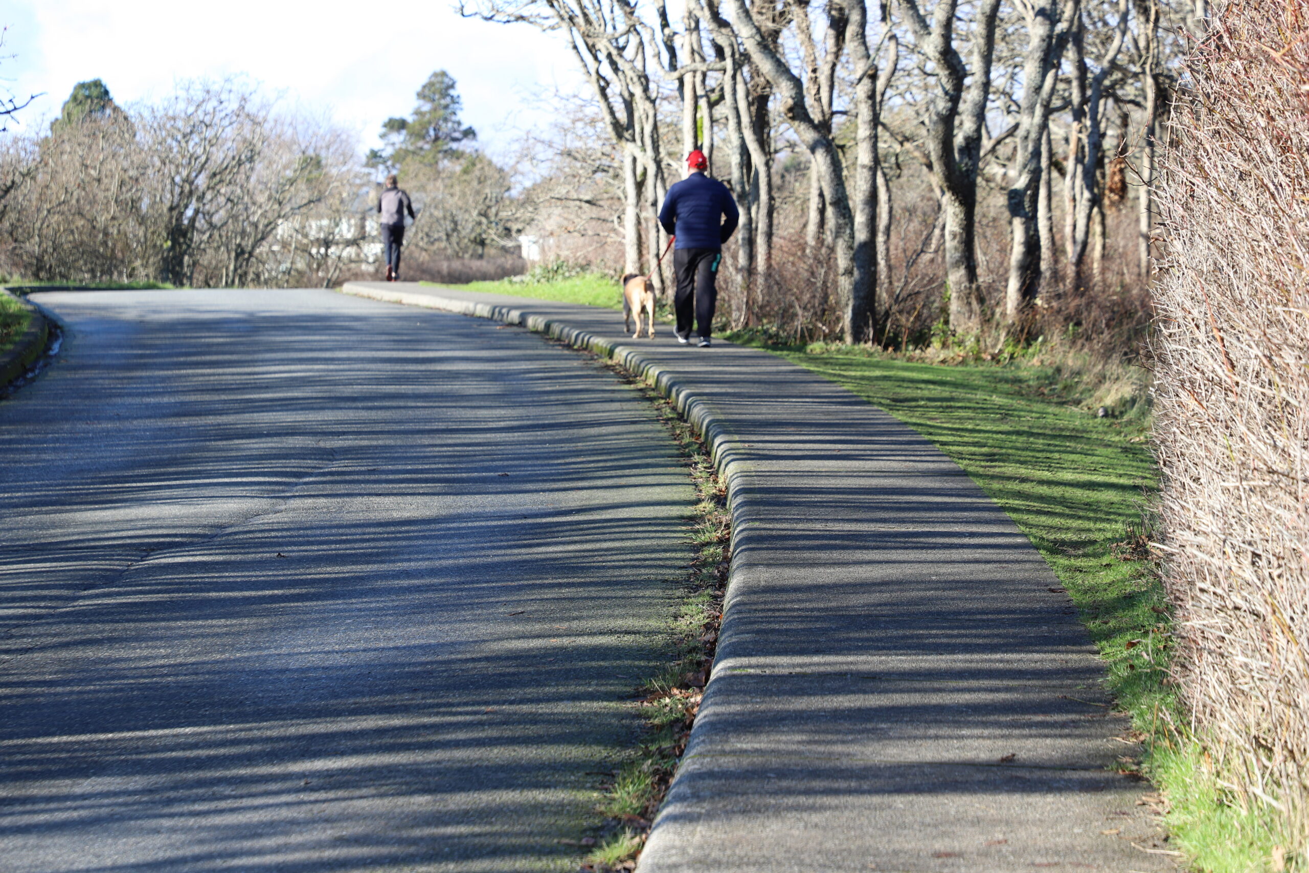 Sidewalk & Driveway